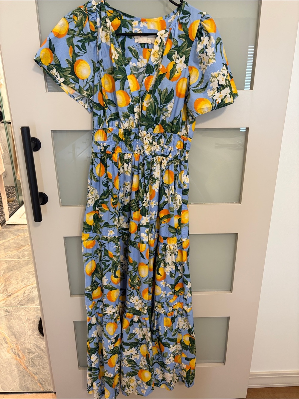 Anthropologie Blue Maxi Dress with Yellow Lemon & Green Leaf Print